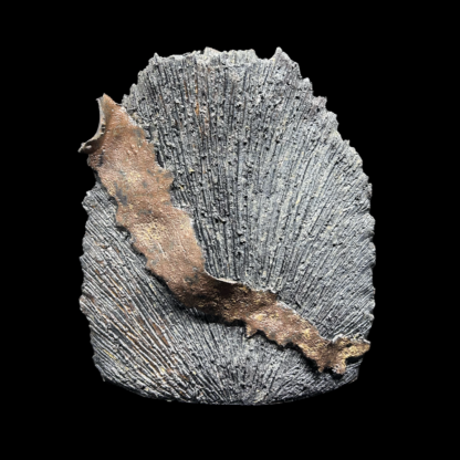 Keramikkvase